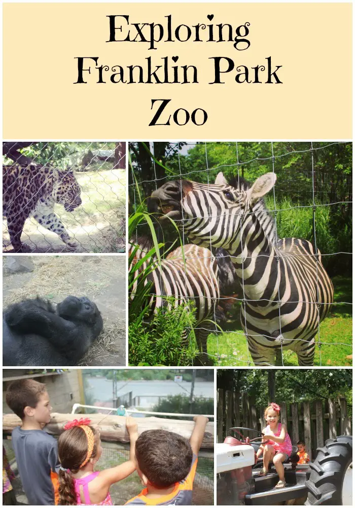 Things to do in Boston with Kids ~ Exploring Franklin Park Zoo