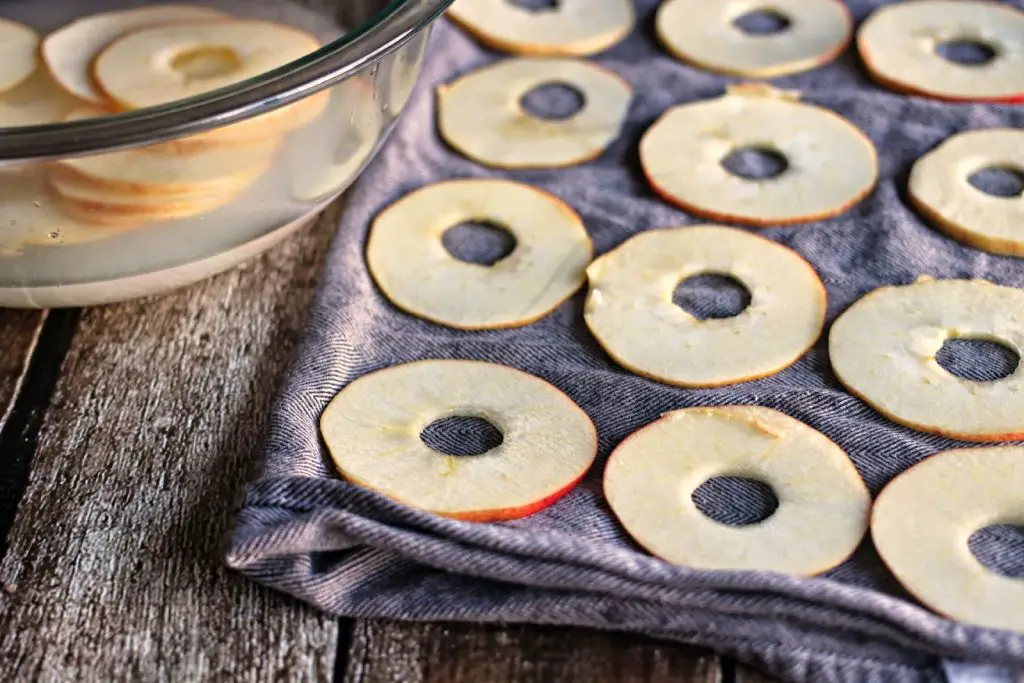 Easy Dried Apple Rings Recipe