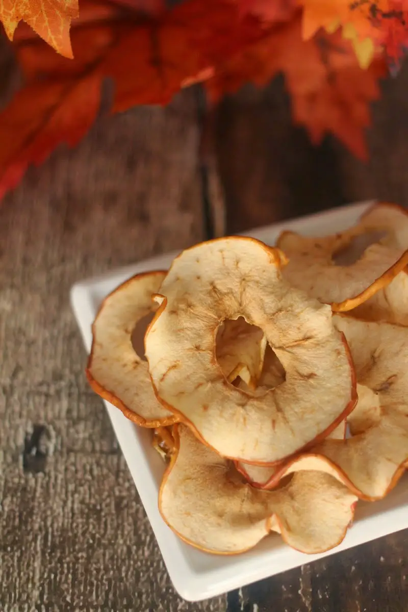 Easy and Delicious Oven Dried Apple Rings Recipe