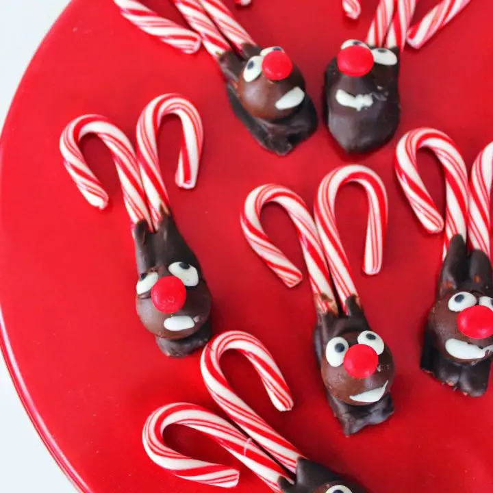 Candy Cane Reindeer Christmas Recipe