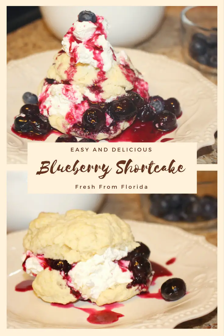 Blueberry Shortcake Recipe with Fresh From Florida