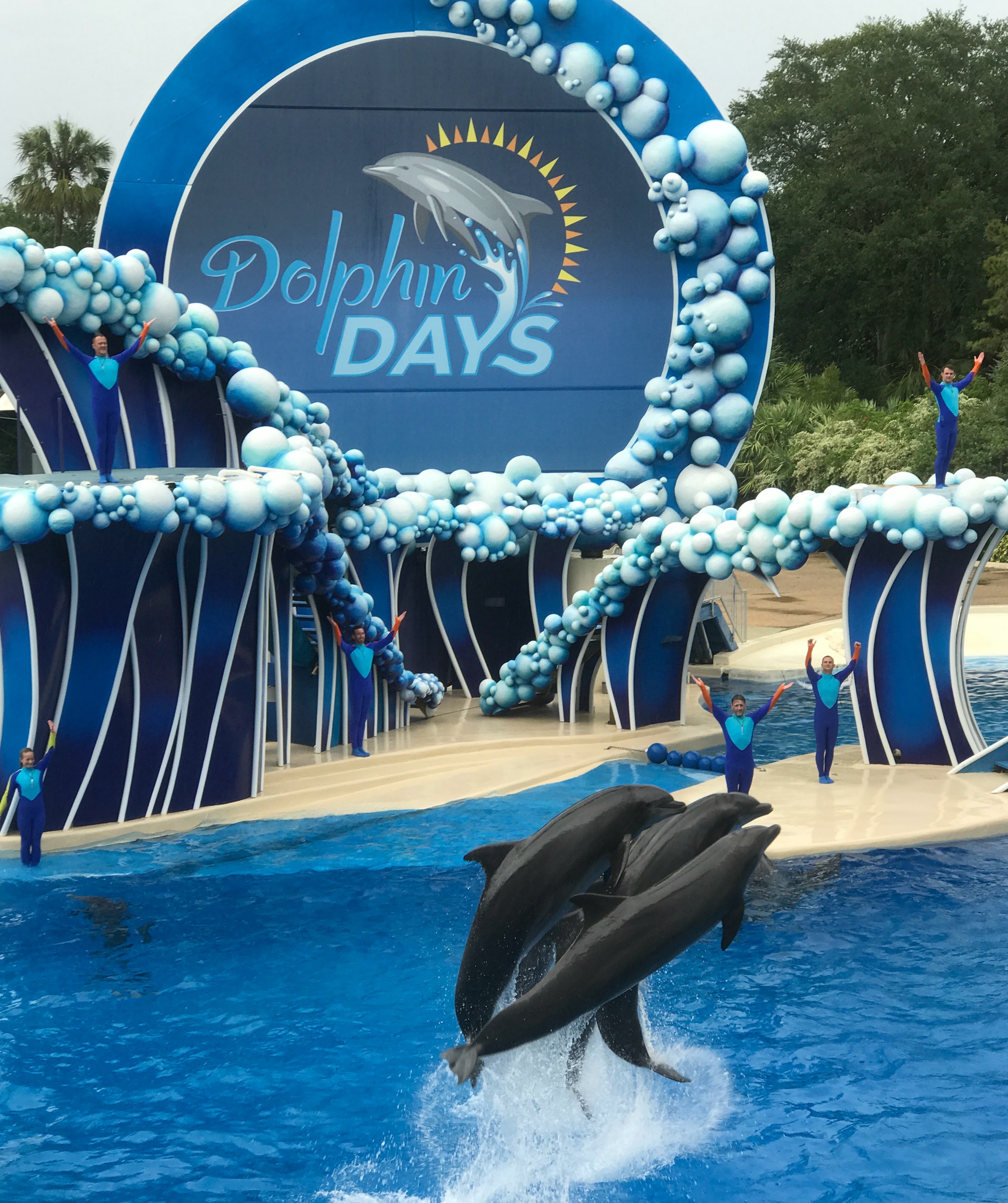 Dolphin-Days-Show-Sea-World
