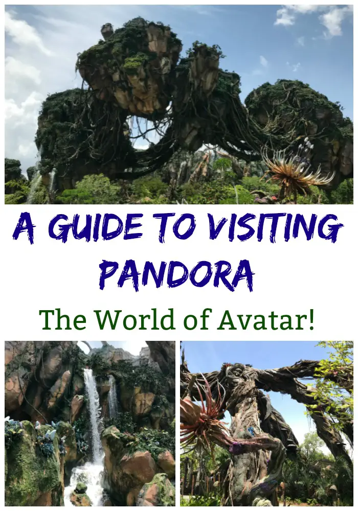 Guide to Visiting Disney's Pandora