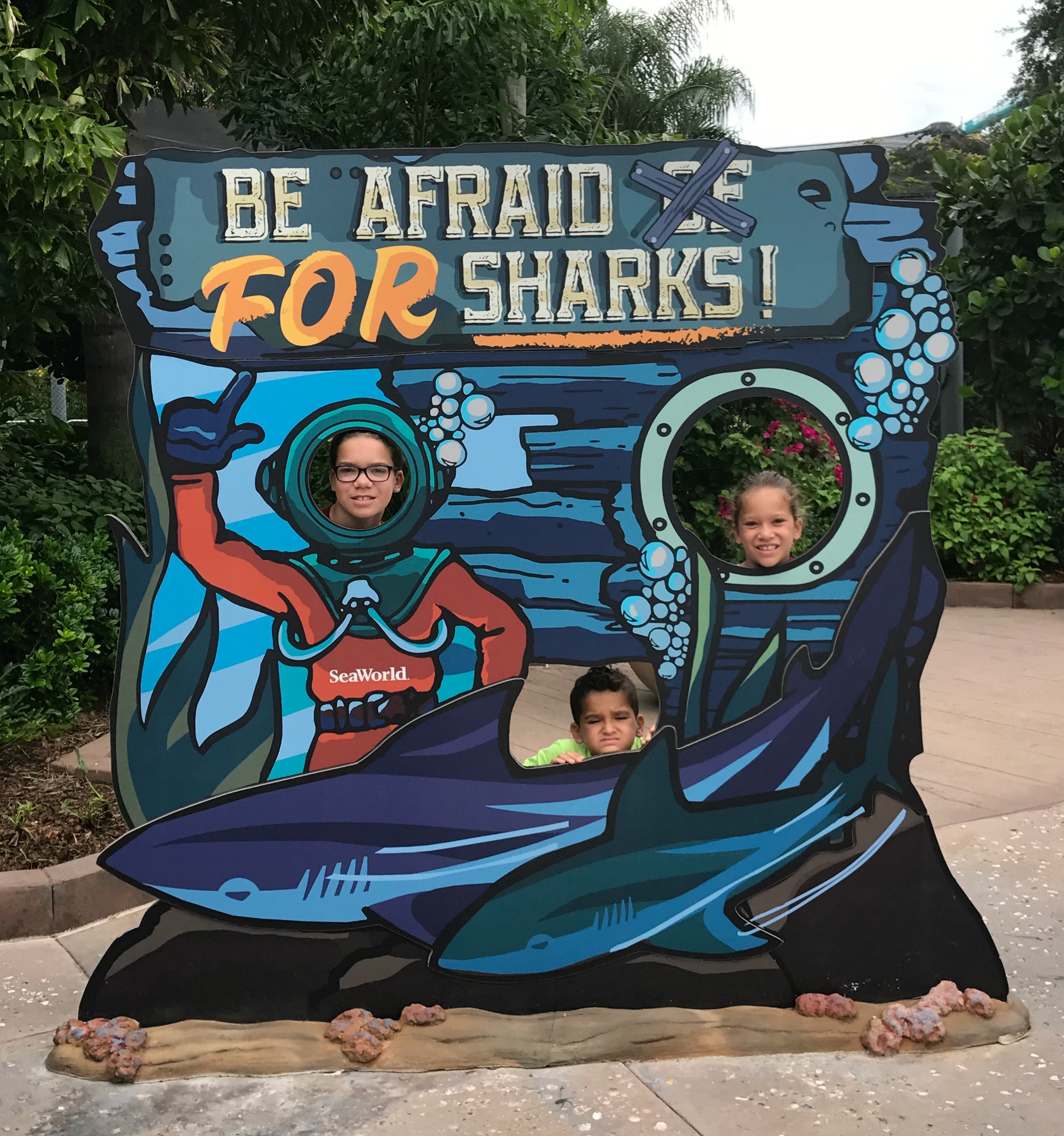 Sharks-Sea-World-Orlando