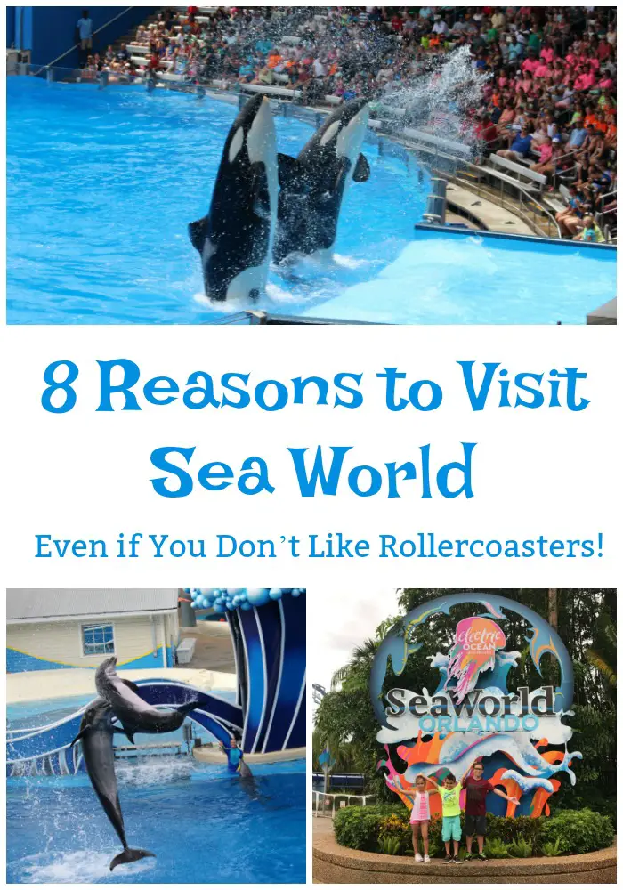 Tips-for-visiting-sea-world-with-kids