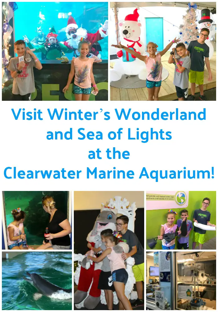 Winter's Wonderland and Sea of Lights Clearwater Marine Aquarium