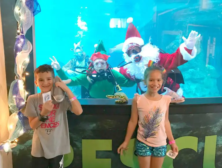 Winter’s Wonderland & Sea of Lights with Coca-Cola Florida and the Clearwater Marine Aquarium!