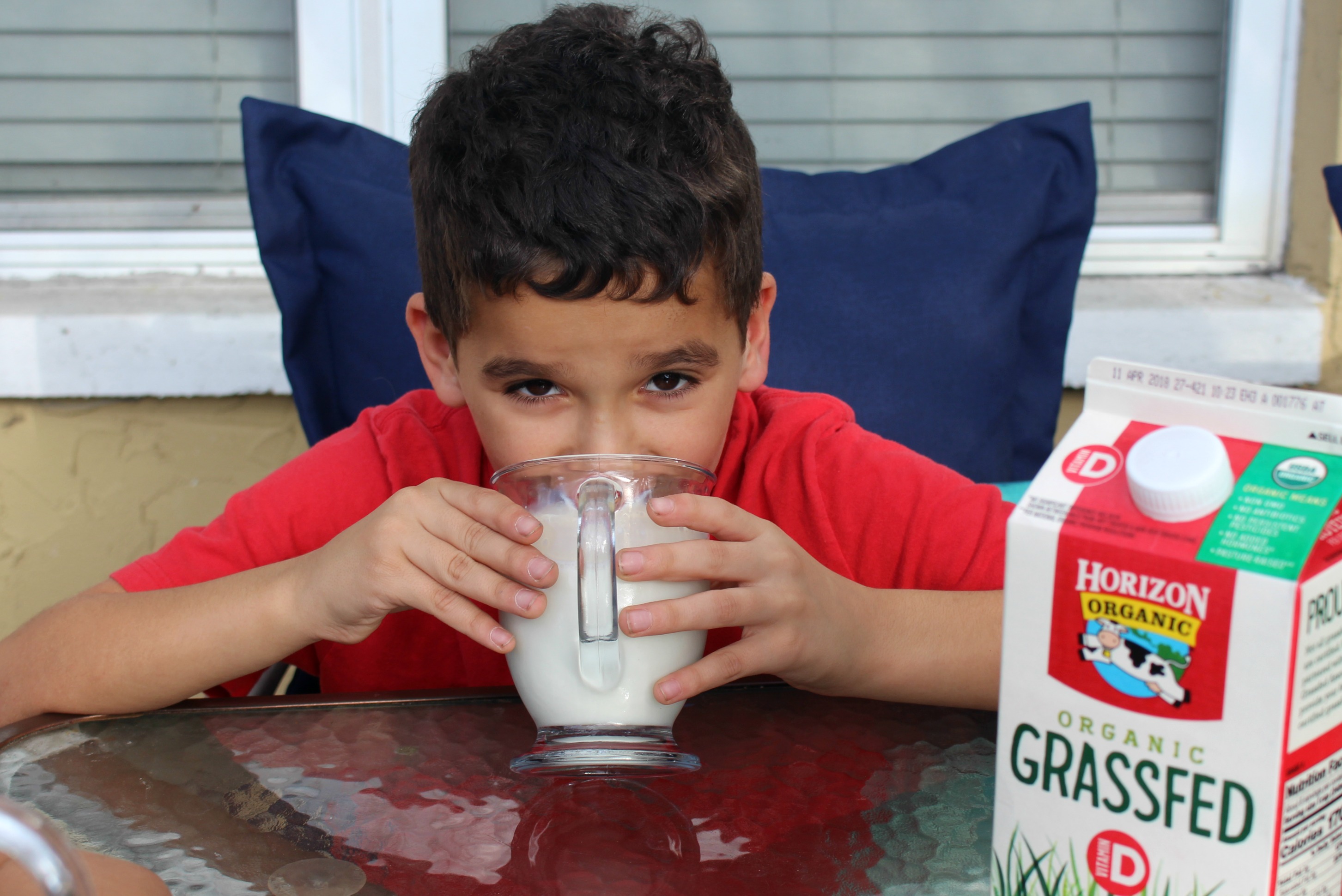 Organic-grassfed-horizon-milk-walmart-best-milk, stress-free-kids