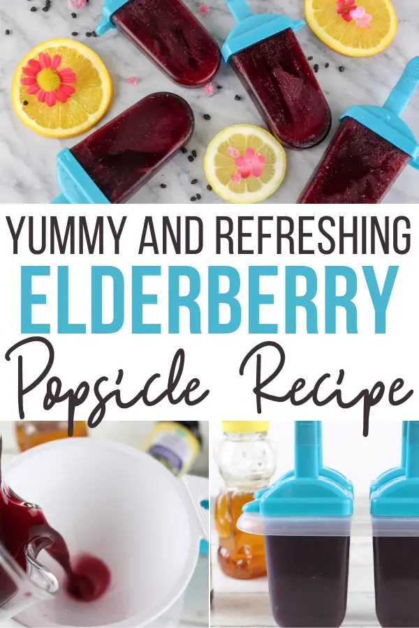 Elderberry Popsicle Recipe