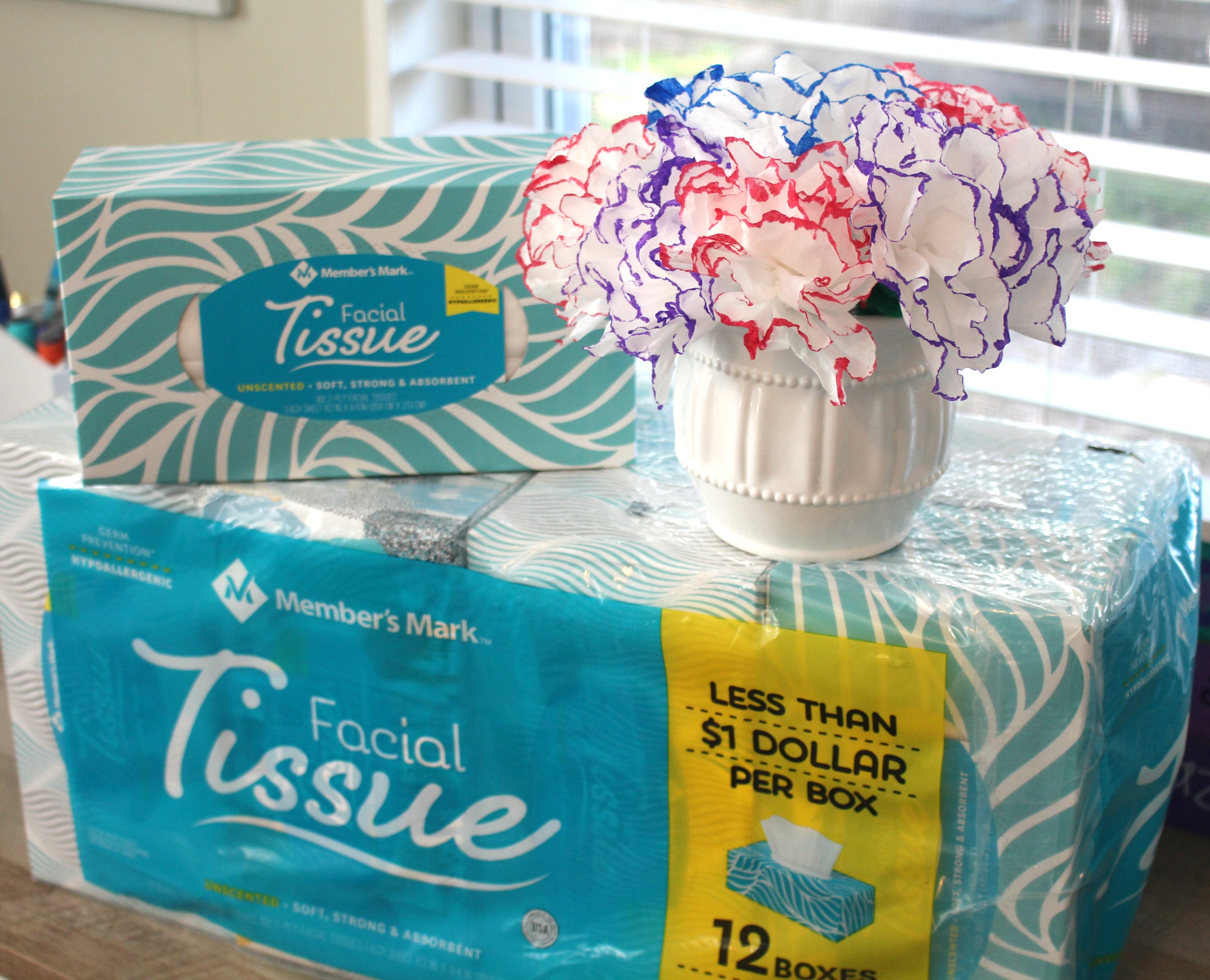 How to Make Tissue Flowers with Member’s Mark Brand Facial Tissues