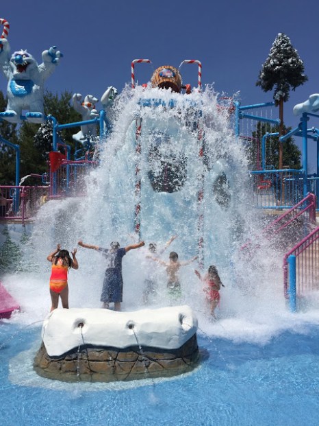 Top water parks in florida