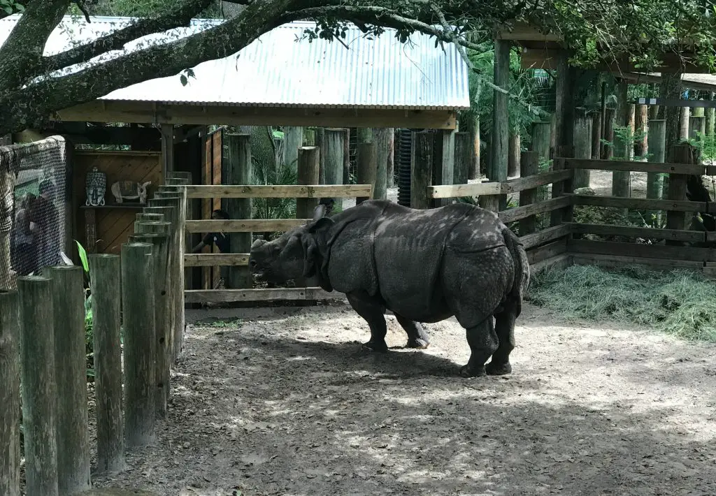 Animal Encounters at Zoo Tampa