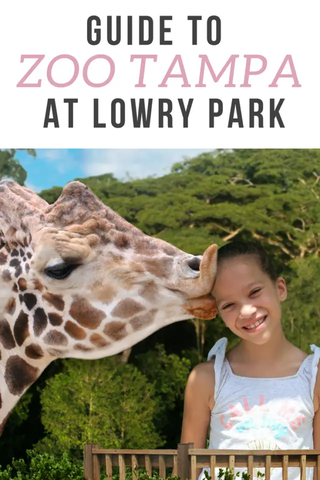 Guide to Zoo Tampa Including the New Roaring Springs Ride!