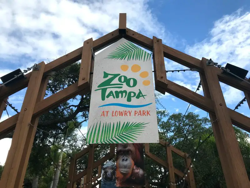 Guide to Zoo Tampa Including the New Roaring Springs Ride!