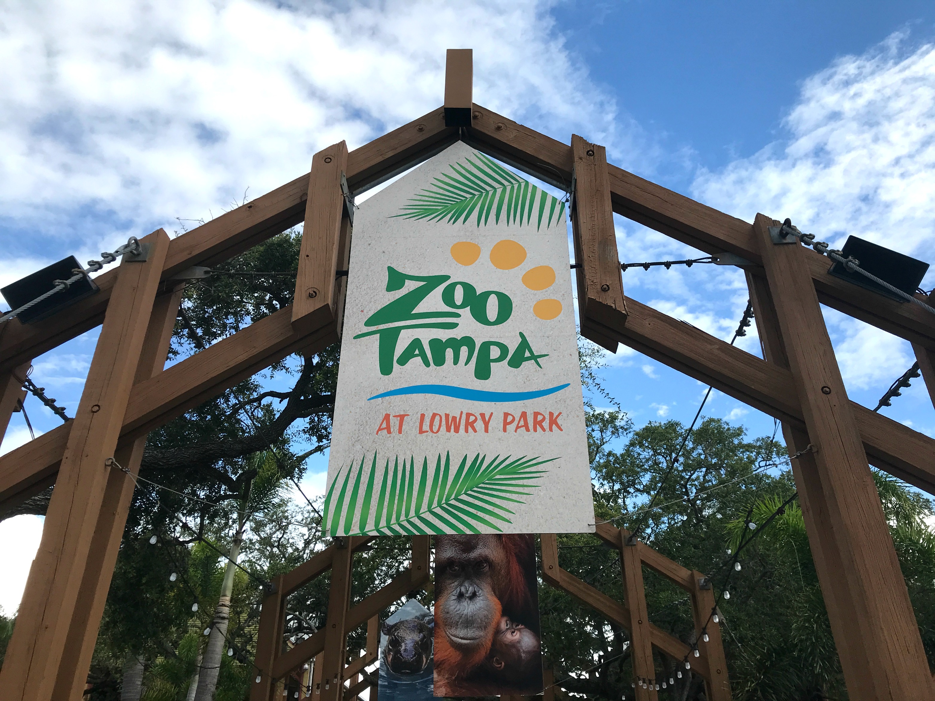 Guide to Zoo Tampa Including the New Roaring Springs Ride!