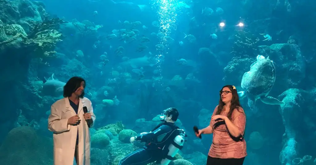 Shows at The Florida Aquarium