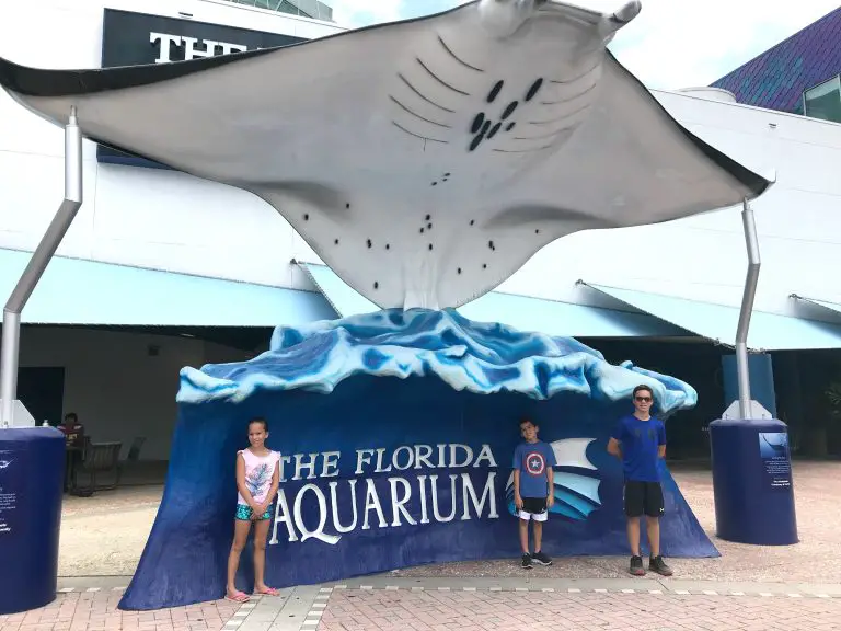A Guide to The Florida Aquarium – Connecting with the Sea