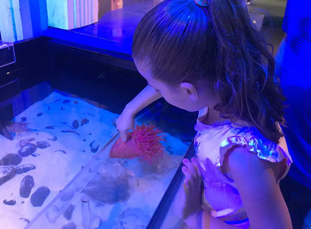The Florida Aquarium No Bone Touch Tanks