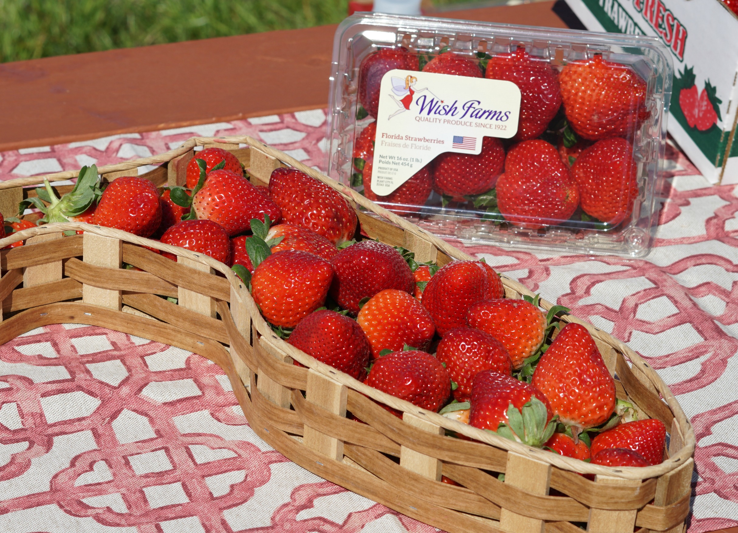 Wish Farms Strawberries Plant City