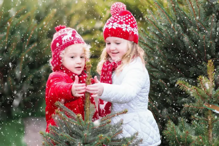 18 Family Christmas Traditions to Start this Year