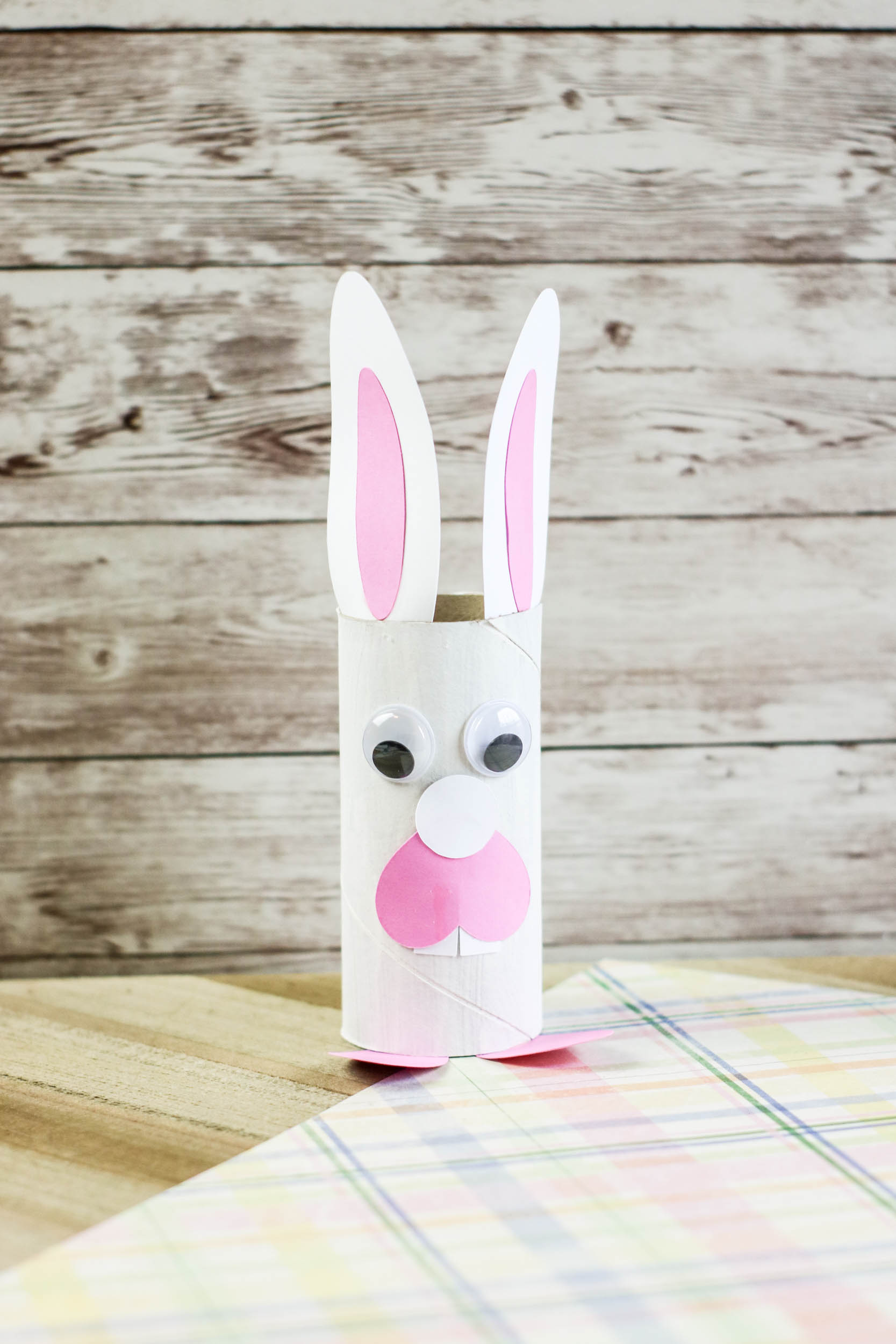 Cardboard Roll Bunny Rabbit Craft for Kids