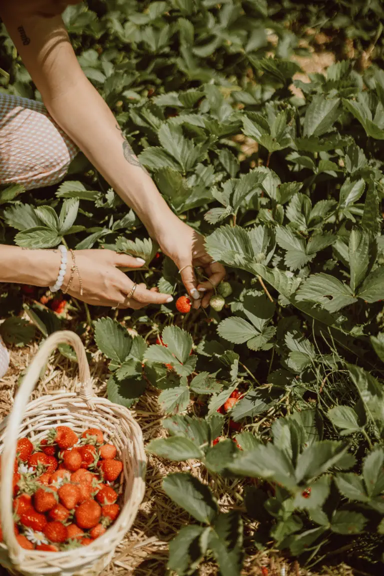 Ways To Make Your Family Home A More Sustainable Place