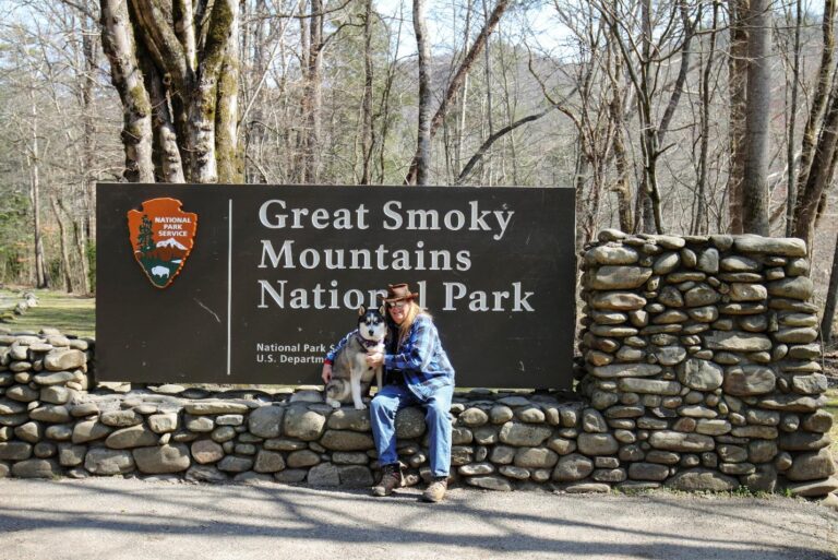 Keeping Pets Entertained on Long Trips - Featured Image